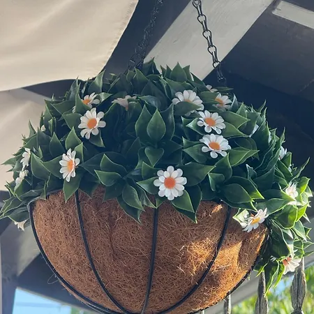 بيت ضيافة Casa Balan إيفوري نورد