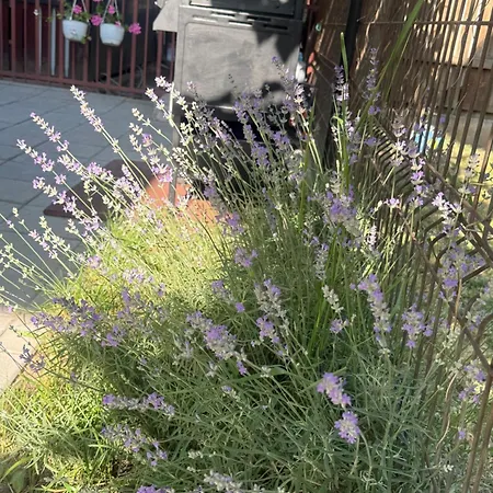 Pensión Casa Balan 3*