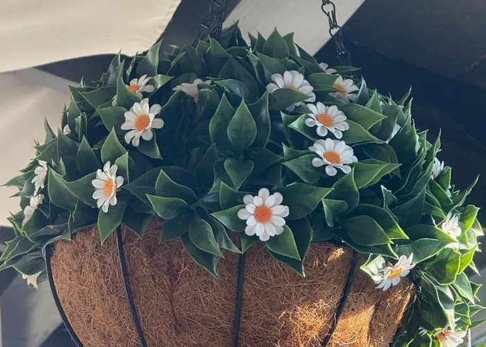 Guest house Casa Balan Eforie Nord