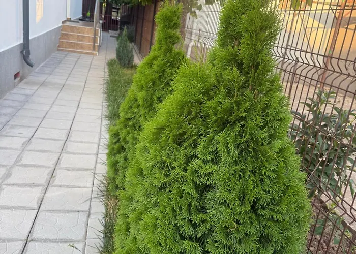 Casa Balan 3* 艾福雷诺德