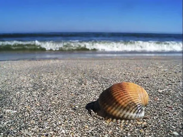 Casa Balan 招待所 3*